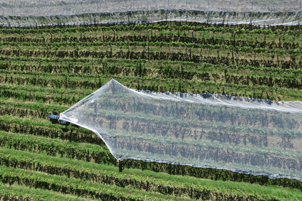 agricoltura di precisione con drone riprese aeree Drone Pro Service