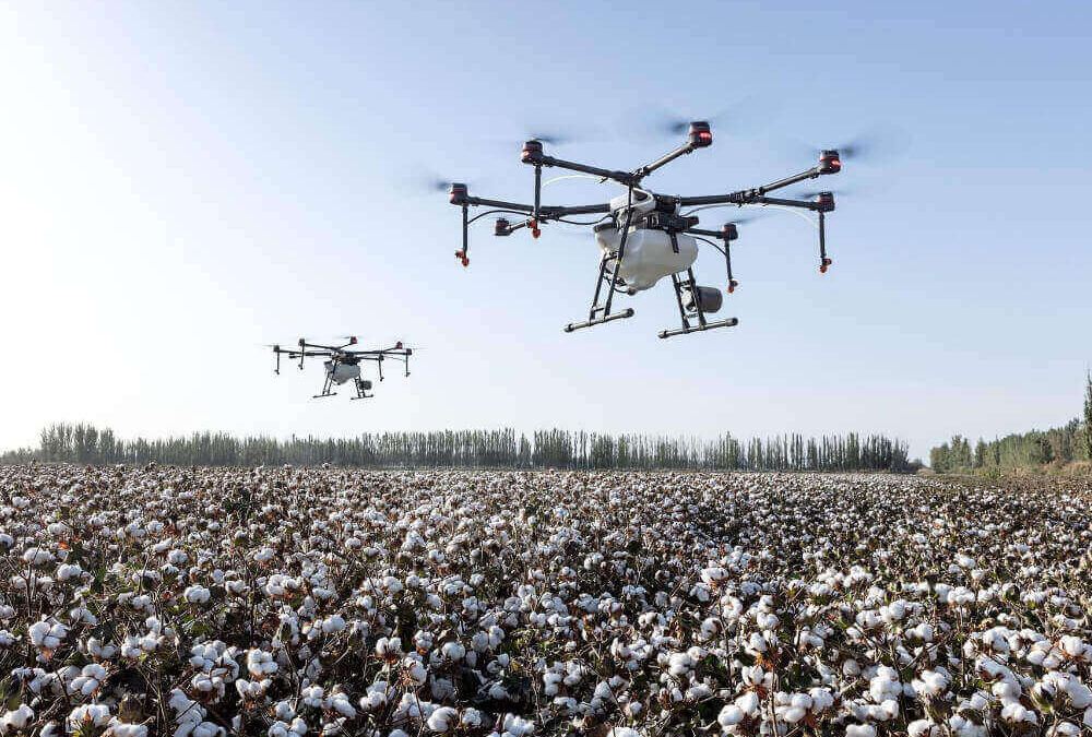 Servizio Drone Drone Pro Service