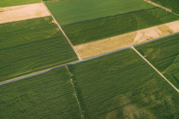 Topografia in agricoltura Drone Pro Service