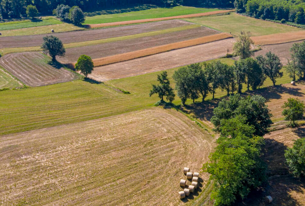 DRONI AGRICOLI